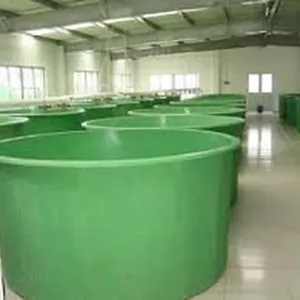 ABOVE GROUND, UNDER GROUND AND FISH TANKS - Image 1